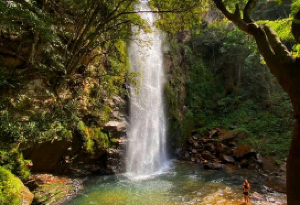 1_c2ccd72542114f7684230359d5fd3a87