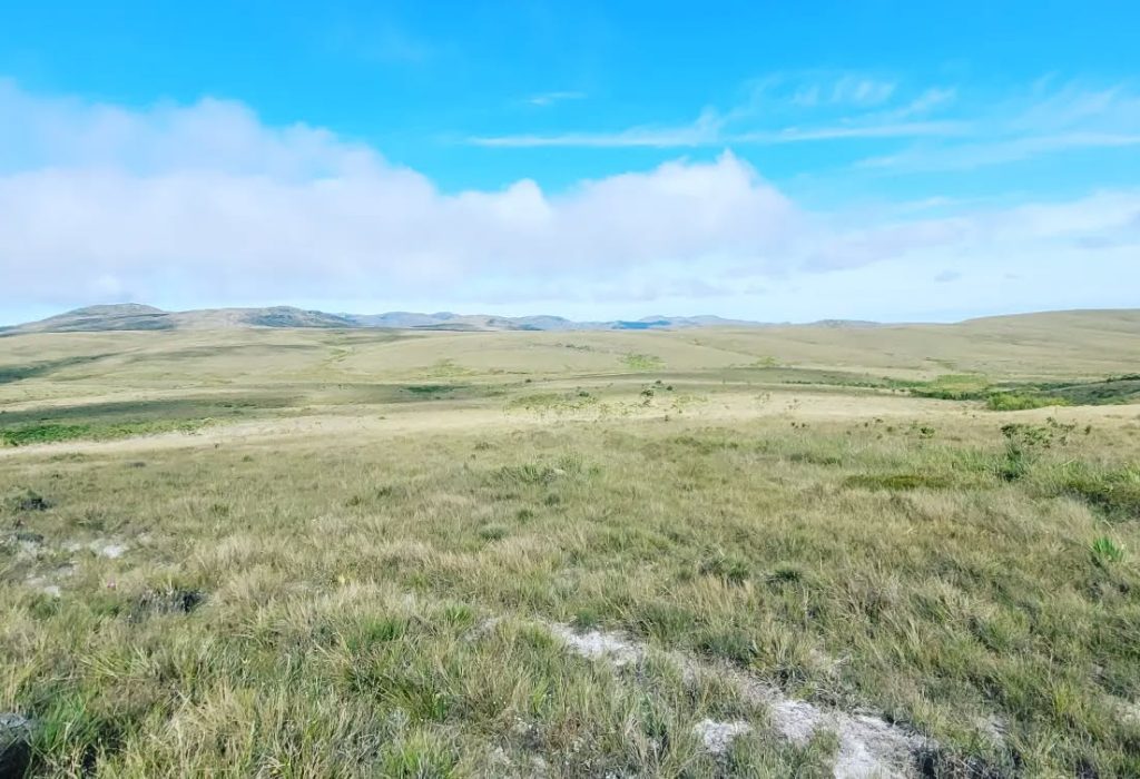 275901311_1102566570317407_2688591937545727905_n