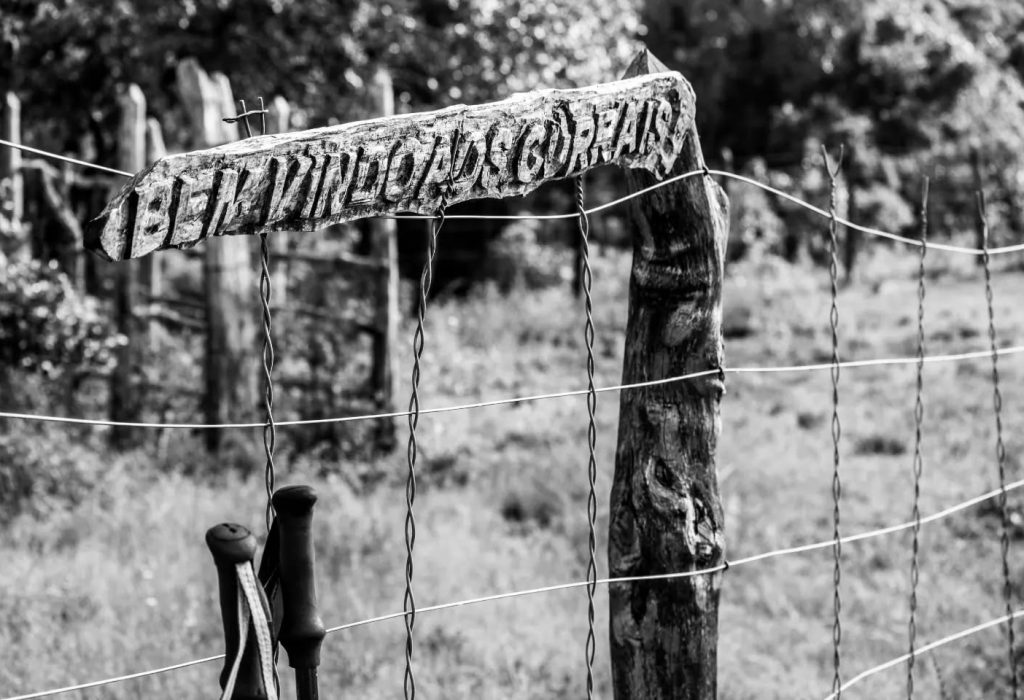 275907746_124448746612687_7635605650108377840_n