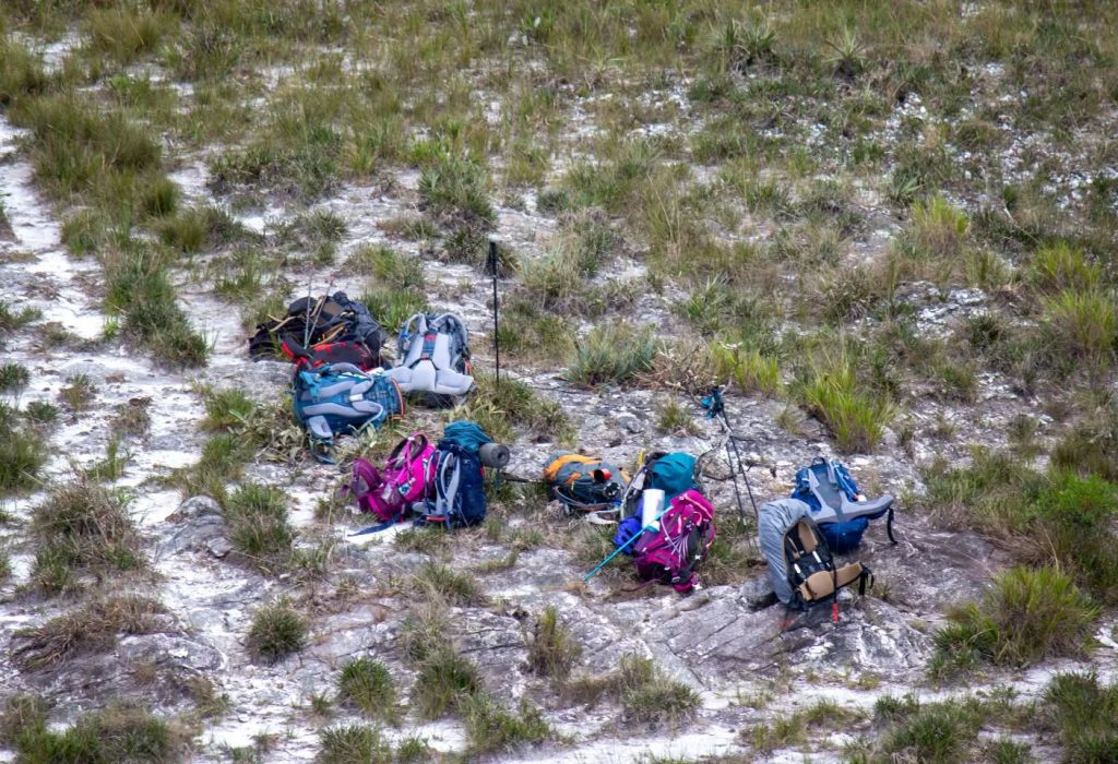 275910992_371913431265747_1199476393450538895_n