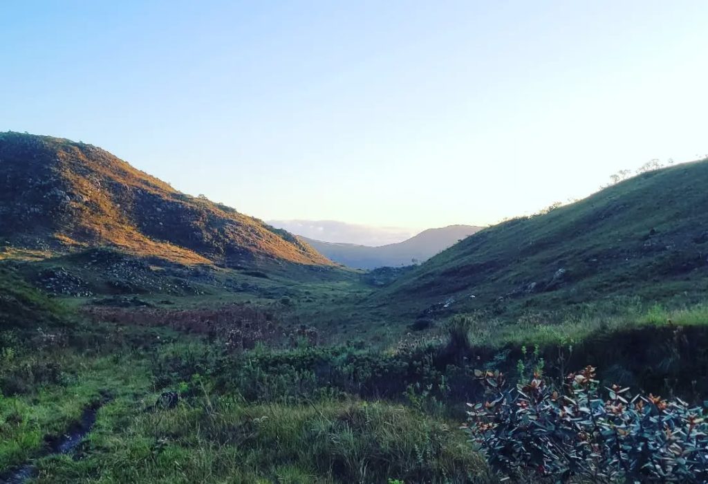 275934219_645210109925968_5053279783024465310_n