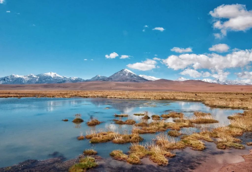 347271538_631149021870531_1832081682882595927_n