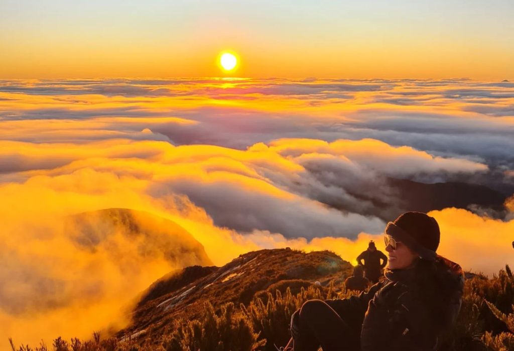 454526390_895365482424335_6825166113392234274_n