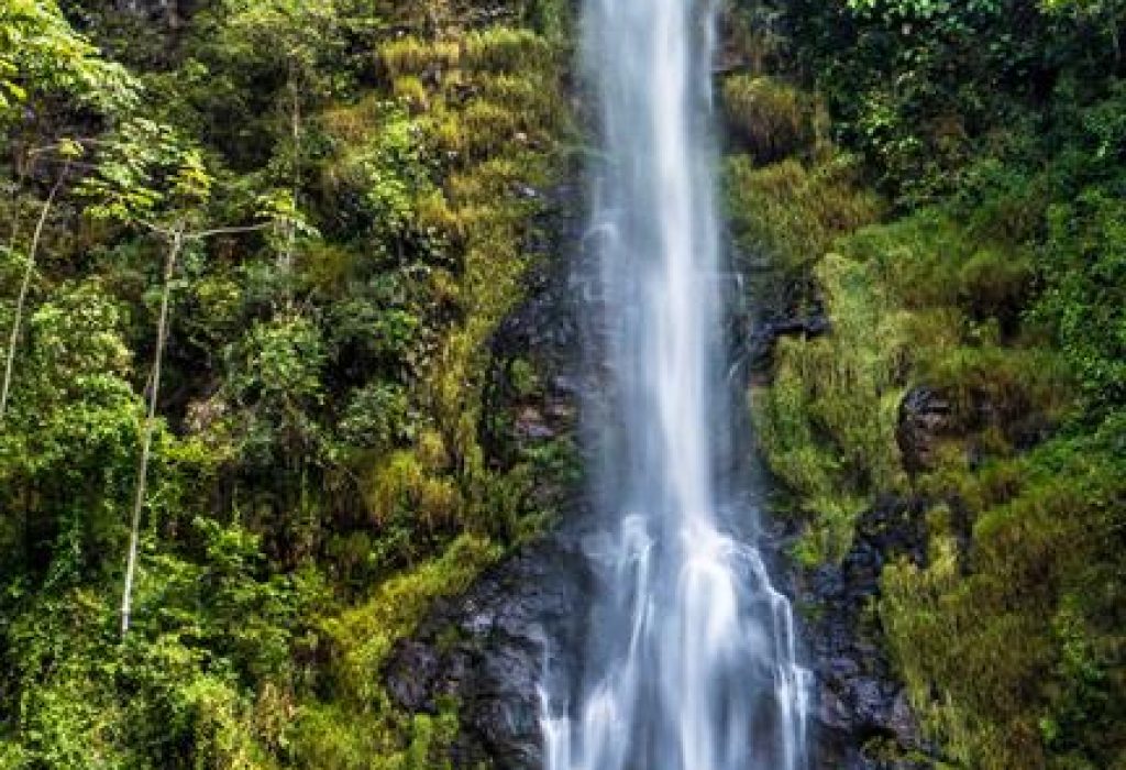 79467a_8a80e90b9438486aa413f4a1bb9ef6df~mv2