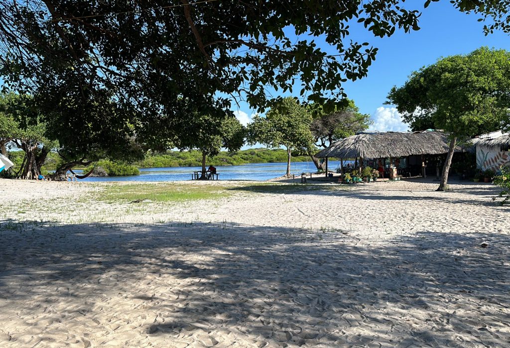 FC686C3C-C106-40EE-B102-DB0F0FA1A6D7