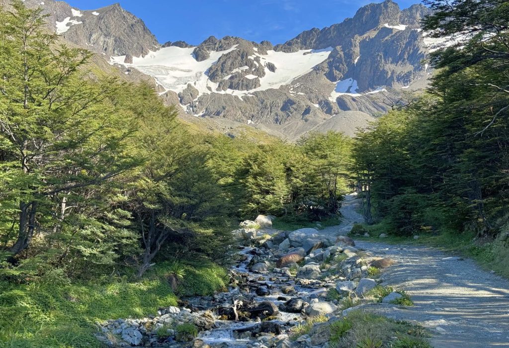 Glaciar Martial