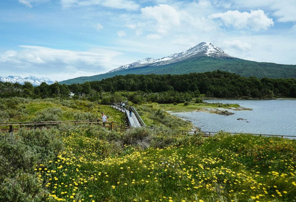 Parque Nacional Tierra del Fuego 5