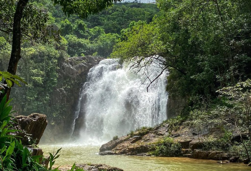 SaveClip.App_327329409_1272849420113526_1813928000264655658_n