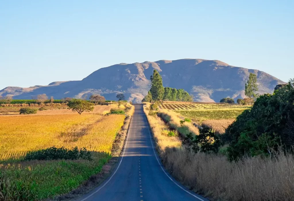 SaveClip.App_587021867_18545583475015638_8116563045516138216_n