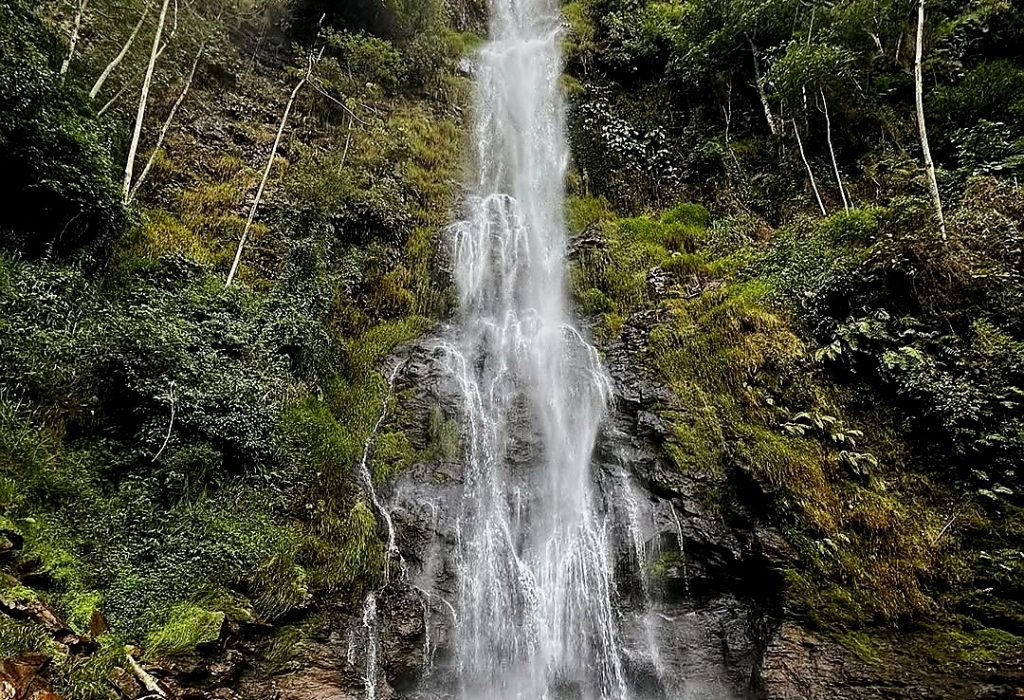 Screenshot_20250305_101022_Instagram