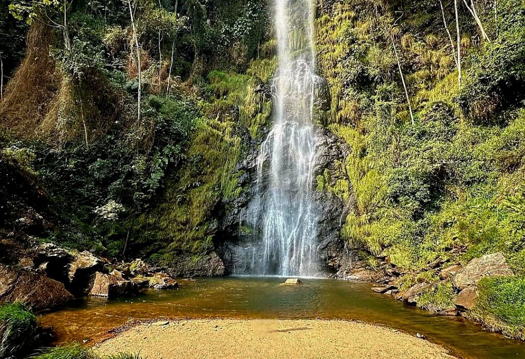 Screenshot_20250305_101232_Instagram