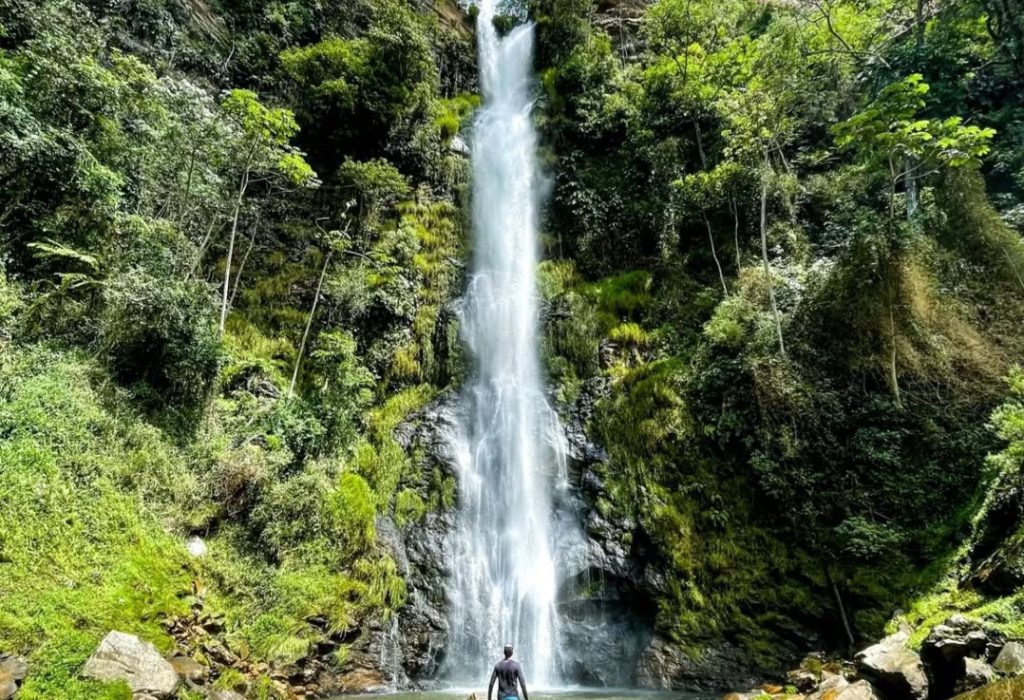 Screenshot_20250305_183407_Instagram