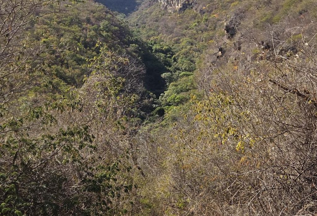 Serra do Cabral
