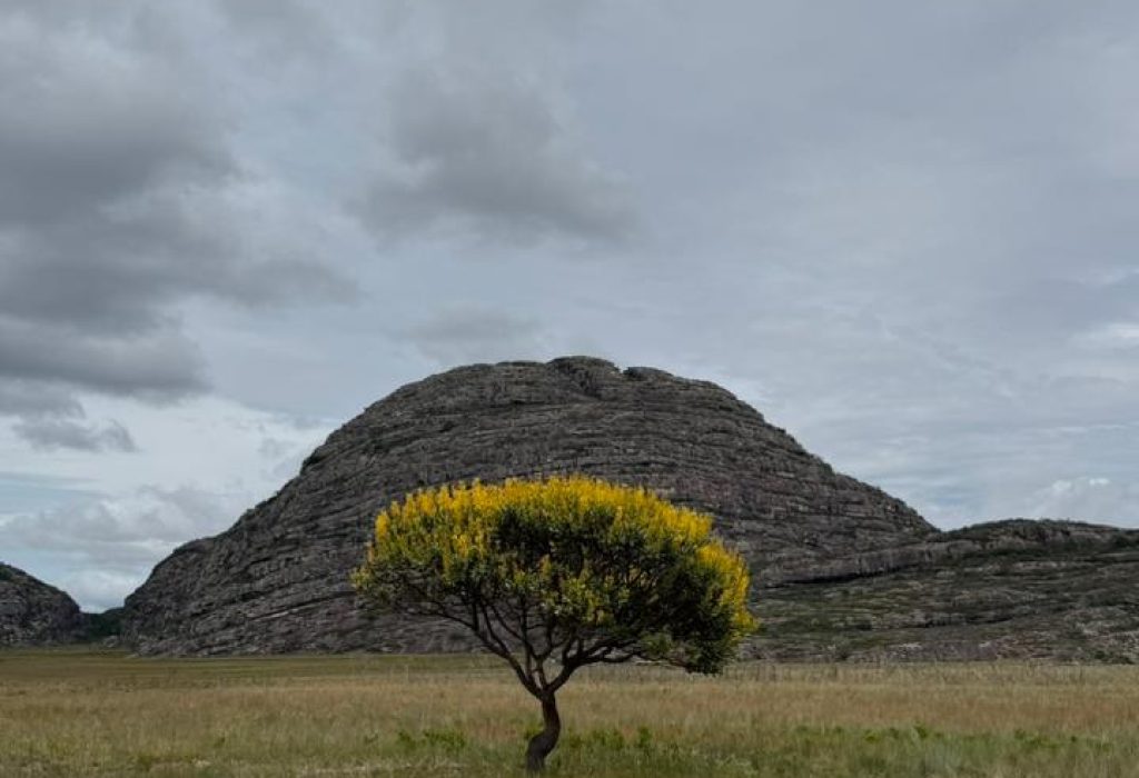 Serra do Pasmar (5)