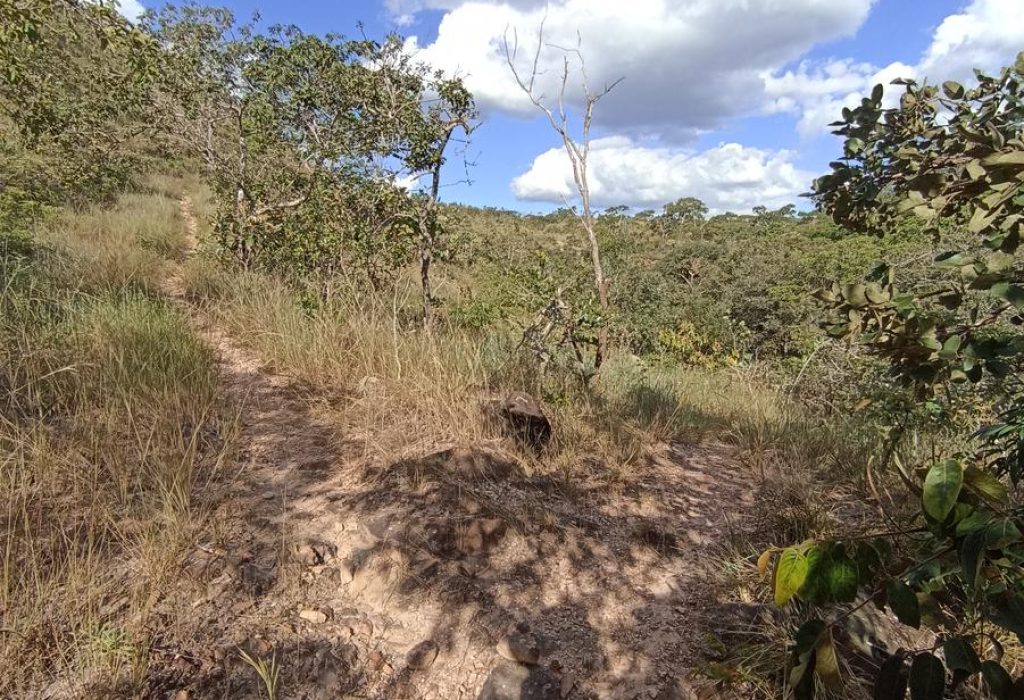 Trilha