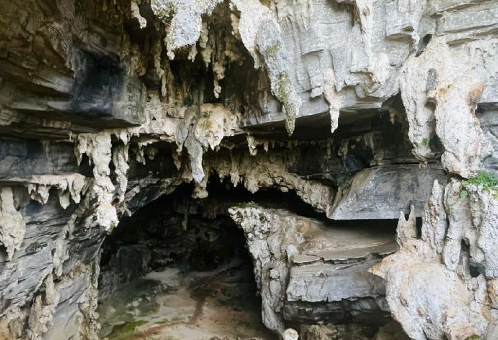 WhatsApp Image 2024-08-05 at 15.08.12 (9)