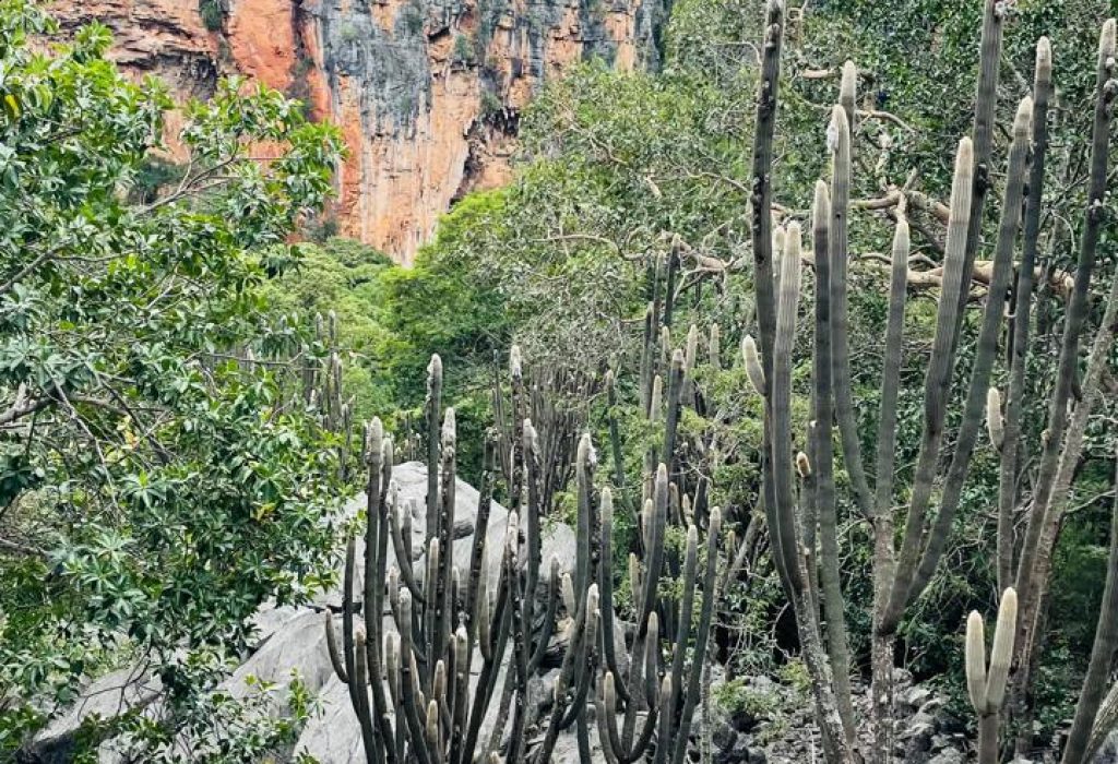 WhatsApp Image 2024-08-05 at 15.08.12