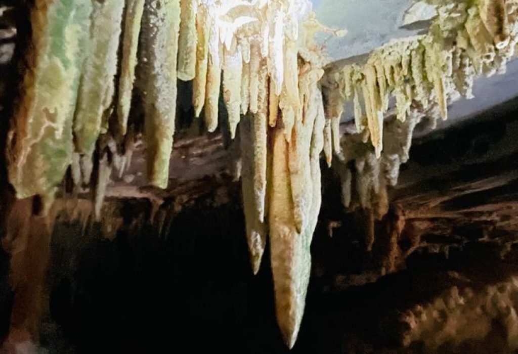 WhatsApp Image 2024-08-05 at 15.27.31