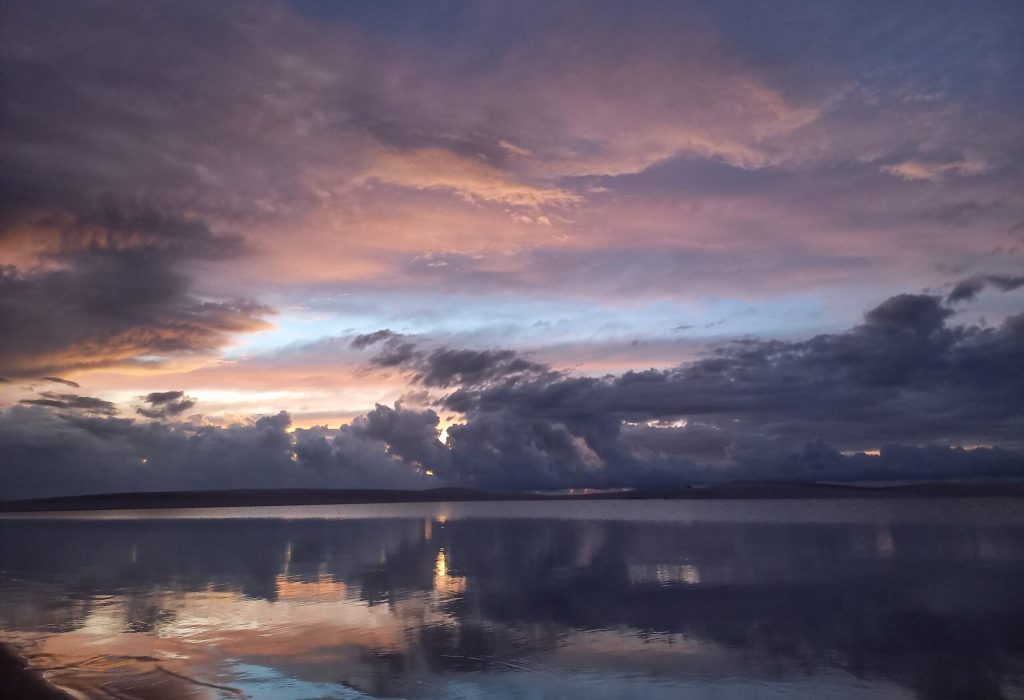 WhatsApp Image 2025-01-20 at 14.55.38