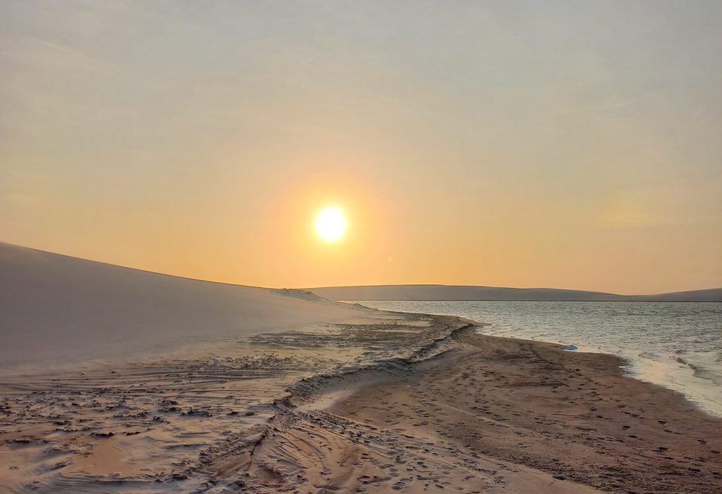 WhatsApp Image 2025-01-20 at 14.55.43