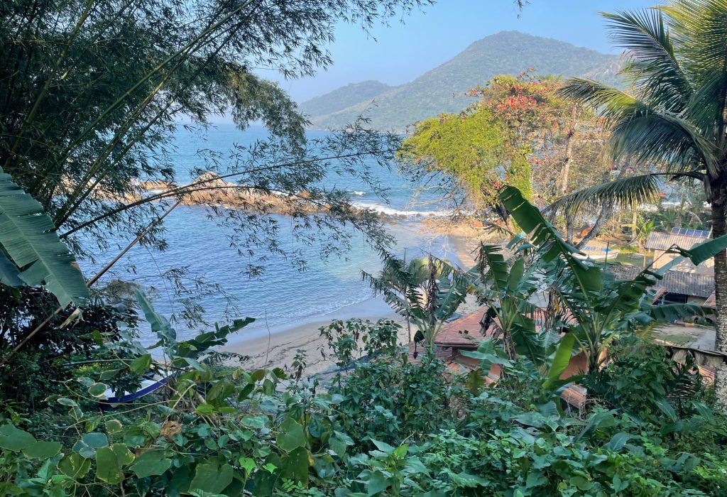 trilha_bonete_castelhanos_ilhabela_19