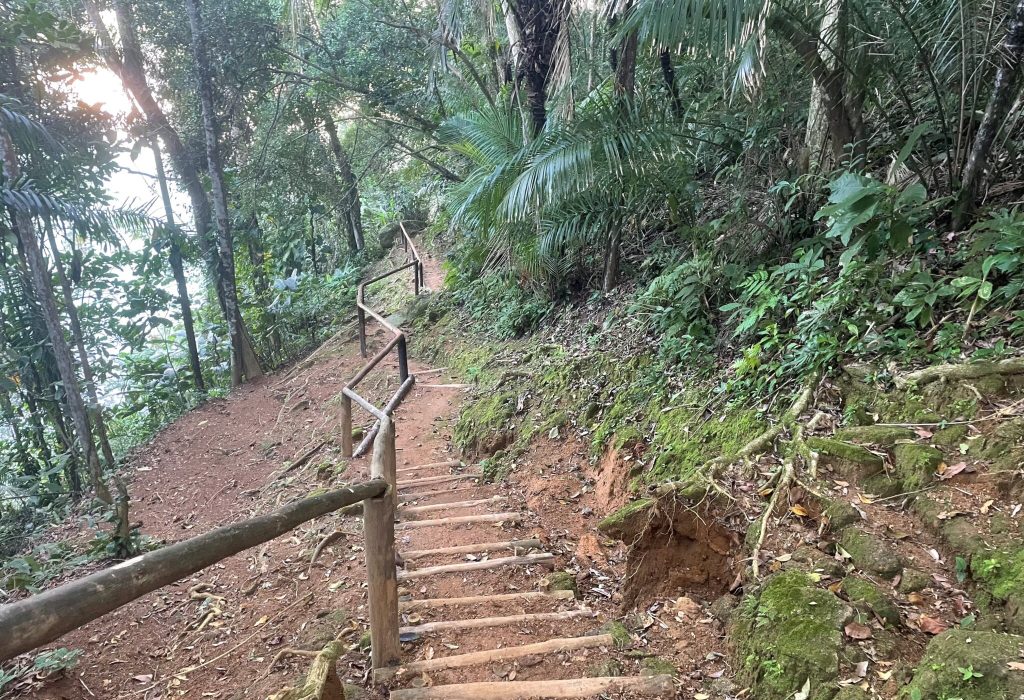 trilha_bonete_castelhanos_ilhabela_26-2048x1536